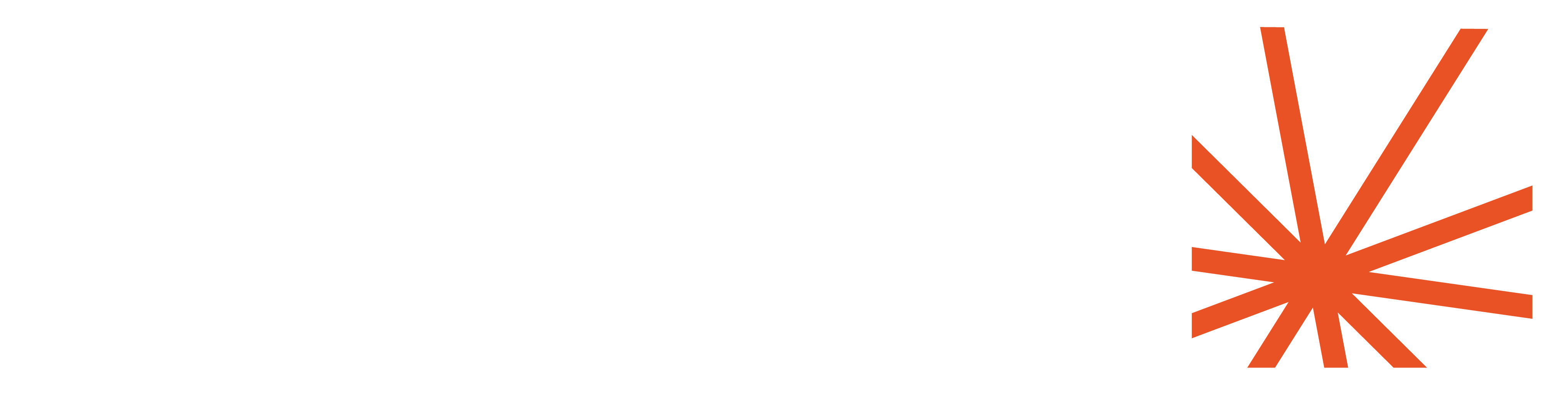 Lineo Lighting Solutions Logo